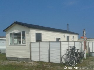 Lastminute Duinoord 216 Aalscholver