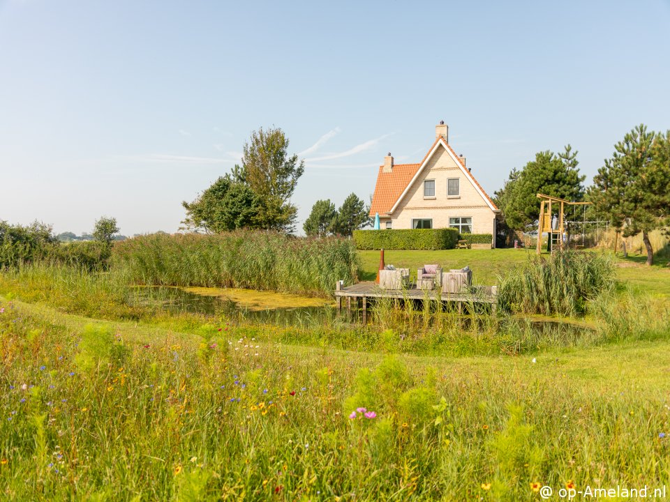 Lastminute De Dijkwachter