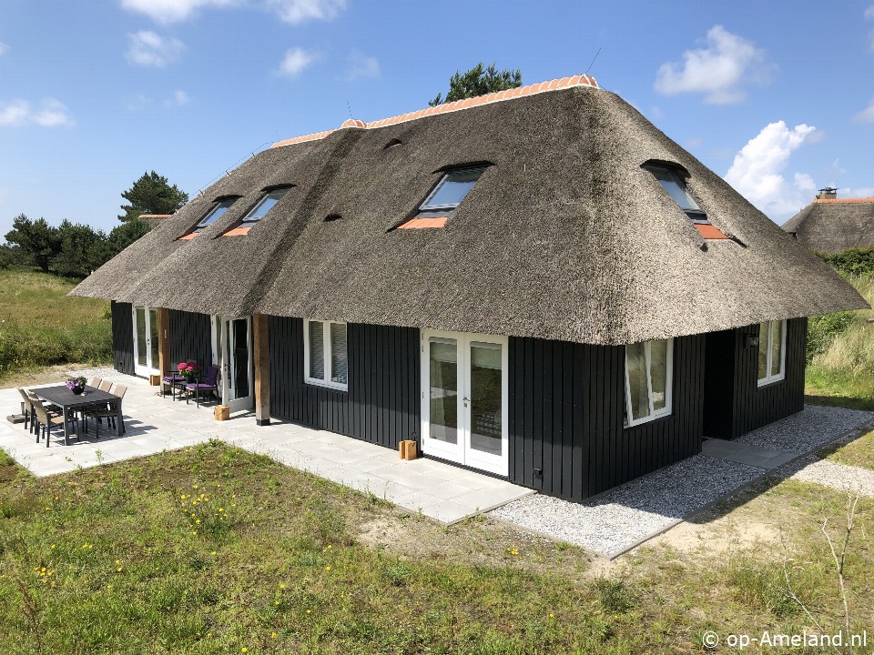 buitenaanzicht In de Duinpan