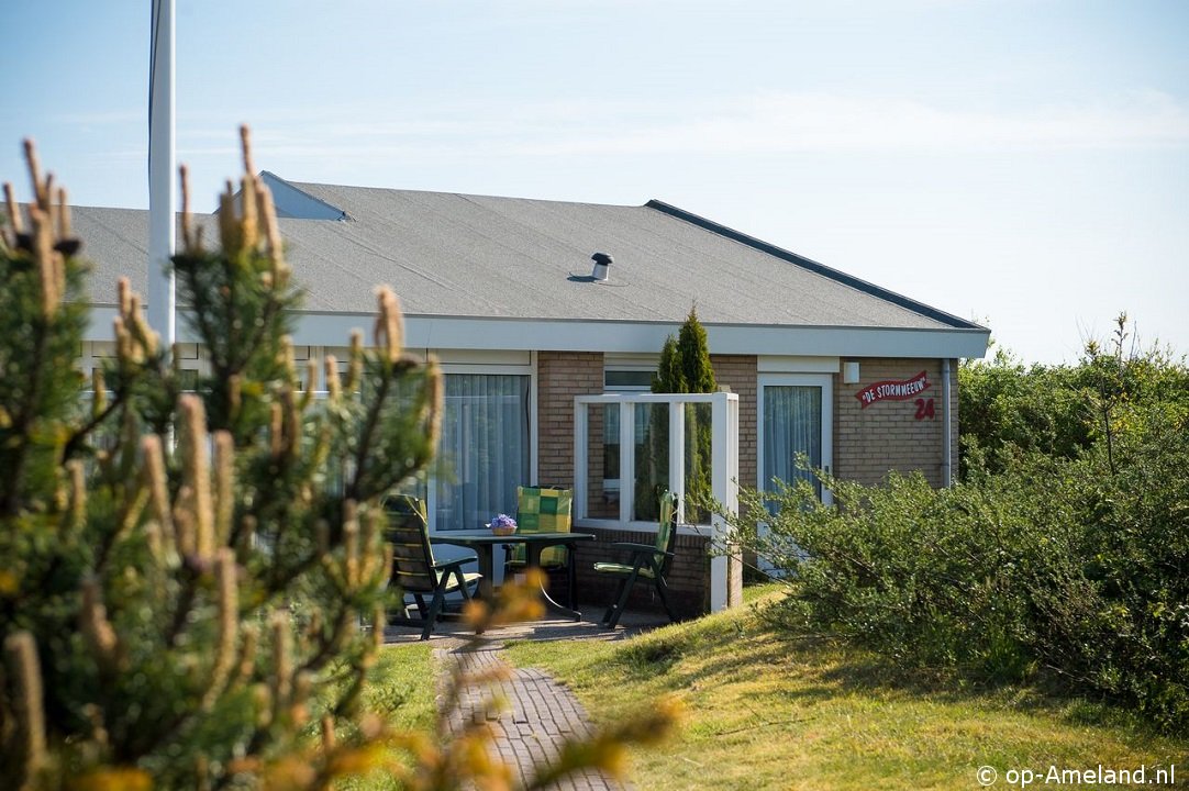 Stormmeeuw (Buren)