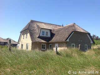 Buitenaanzicht Tieuwen